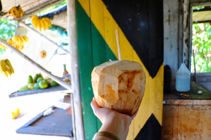 Jamaica coconut